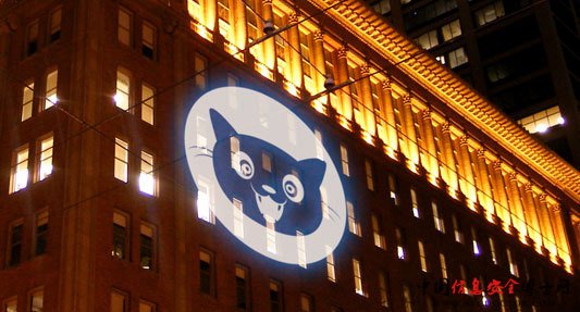 “猫咪图标”成为网络防御联盟落成仪式的主角