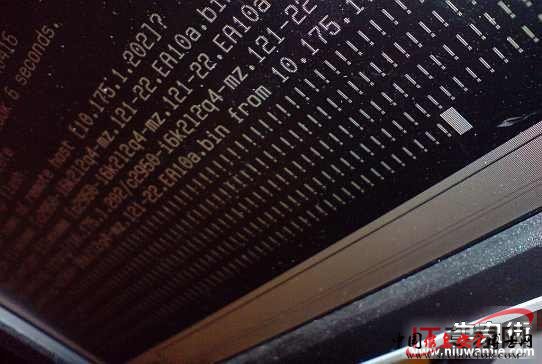 史上最牛的10大计算机病毒